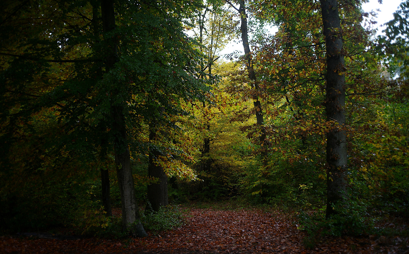  2025 10 22 at 21.21.55